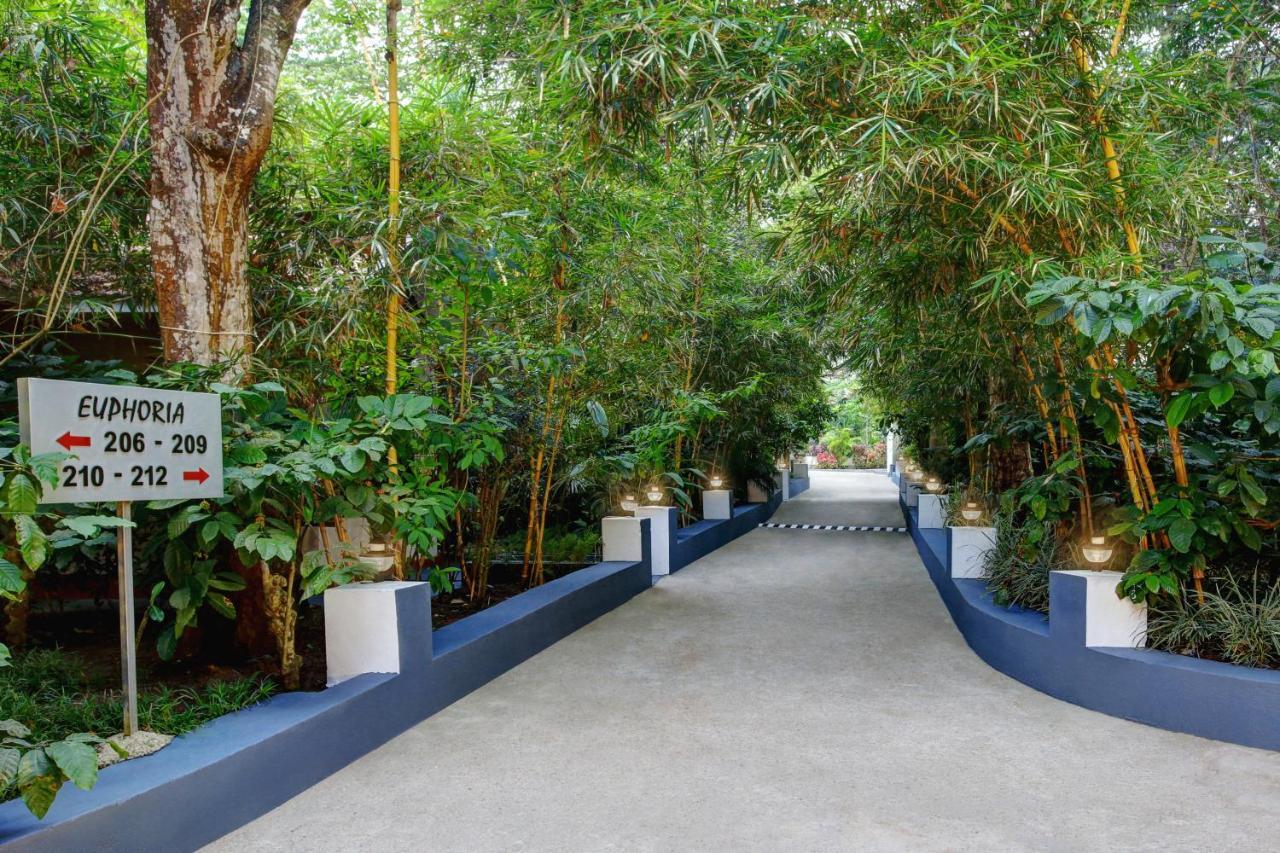 Gokulam Grand Resort & Spa, Coorg Kushālnagar Exteriér fotografie